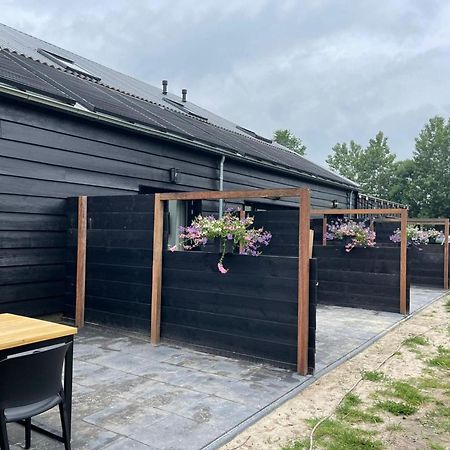 Cozy Holiday Home In Vrouwenpolder Close To The Beach Esterno foto