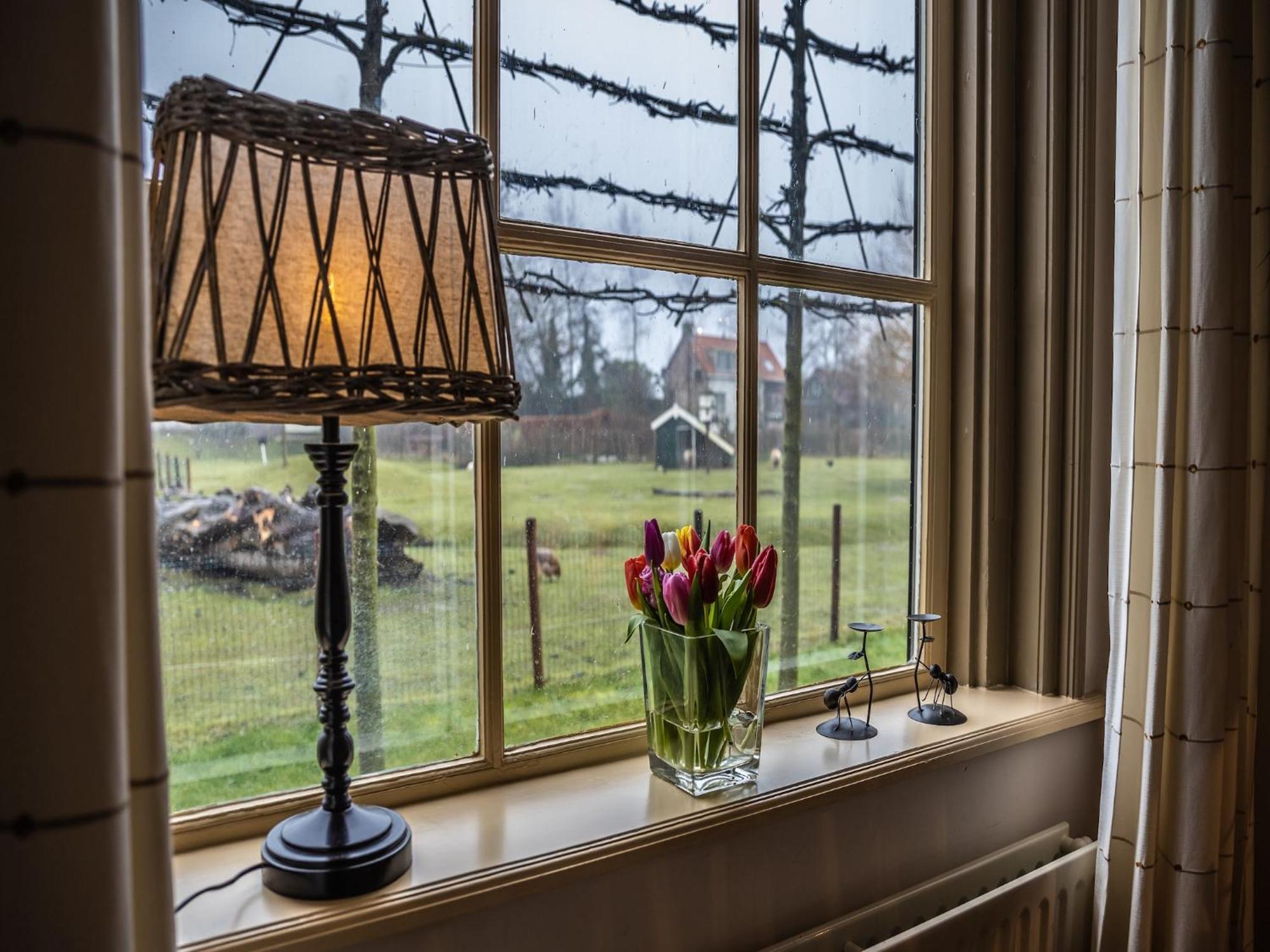 Cozy Holiday Home In Vrouwenpolder Close To The Beach Esterno foto